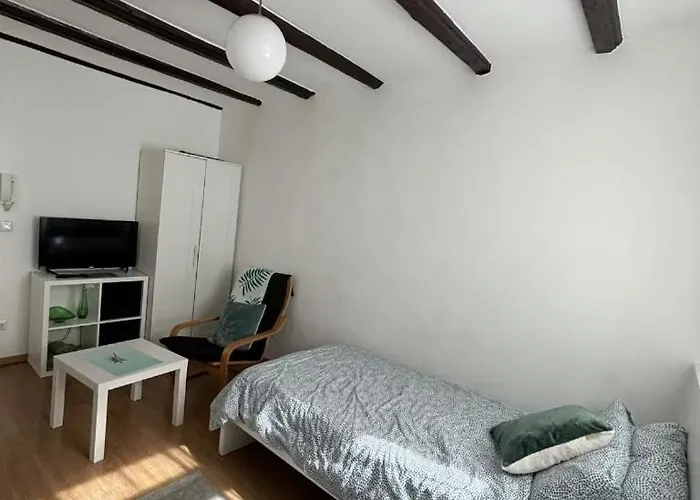 Cozy In Altstadt Appartement